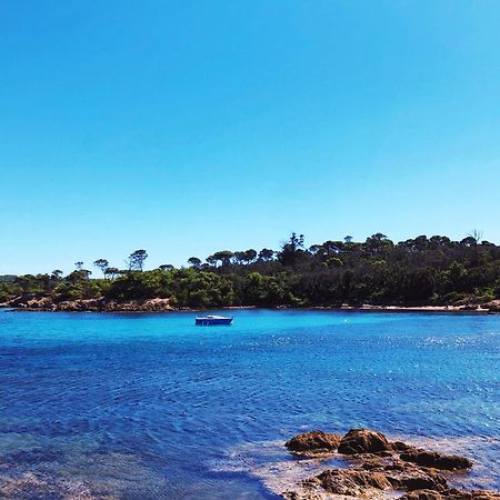 T2 Avec Terrasse & Parking A 5 Min Du Centre, 10 Min Des Plages Hyeres Luaran gambar