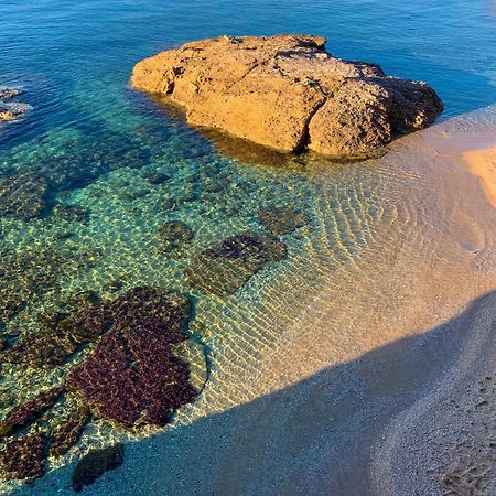 T2 Avec Terrasse & Parking A 5 Min Du Centre, 10 Min Des Plages Hyeres Luaran gambar